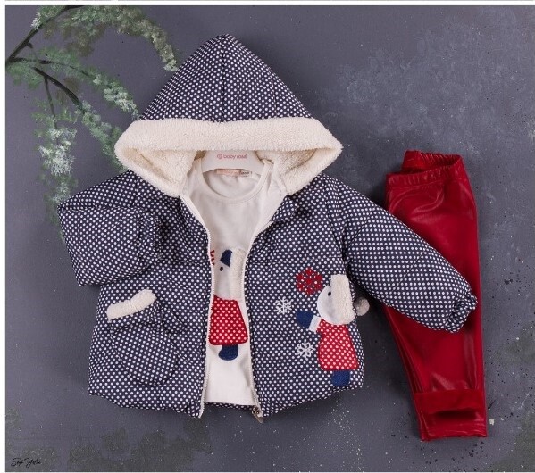 Wholesale 3-Piece Girls Set with Coat, Long Sleeve T-shirt and Pants 1-4Y BabyRose 1002-8401 - 2