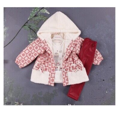 Wholesale 3-Piece Girls Set with Coat, Long Sleeve T-shirt and Pants 2-5Y BabyRose 1002-3898 Dusty Rose