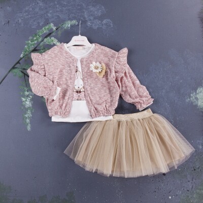 Wholesale 3-Piece Girls Set with Jacket, Long Sleeve T-shirt and Skirt 1-4Y BabyRose 1002-3979 - Babyrose