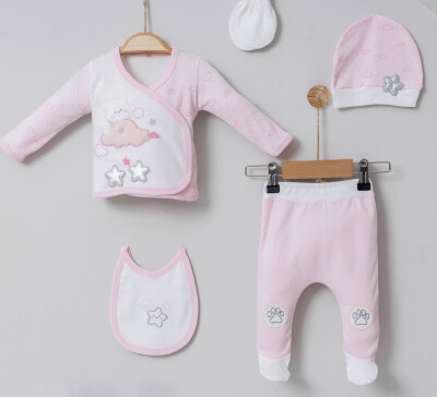 Wholesale 5-Piece Newborn Set 0-6M Miniborn 2019-5009 Pink