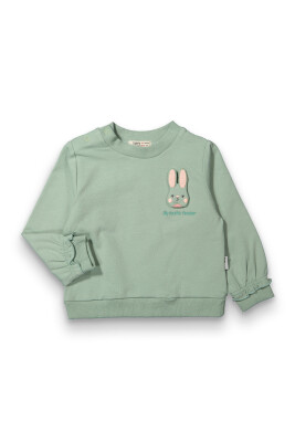 Wholesale Baby Boy Rabbit Hoodie 6-18M Tuffy 1099-0414 Oil