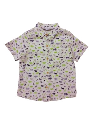 Wholesale Baby Boy Shirt 6-24M Timo 1018-TE4DÜ034243951 Green