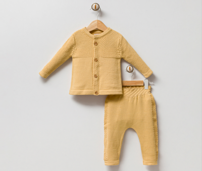 Wholesale Baby Boys 2-Piece Cardigan and Pant Set 3-9M Milarda 2001-6079 - 4