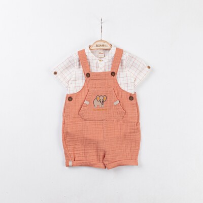 Wholesale Baby Boys 2-Piece Shirt and Underwear Set 3-12M Minibombili 1005-6737 - Minibombili (1)