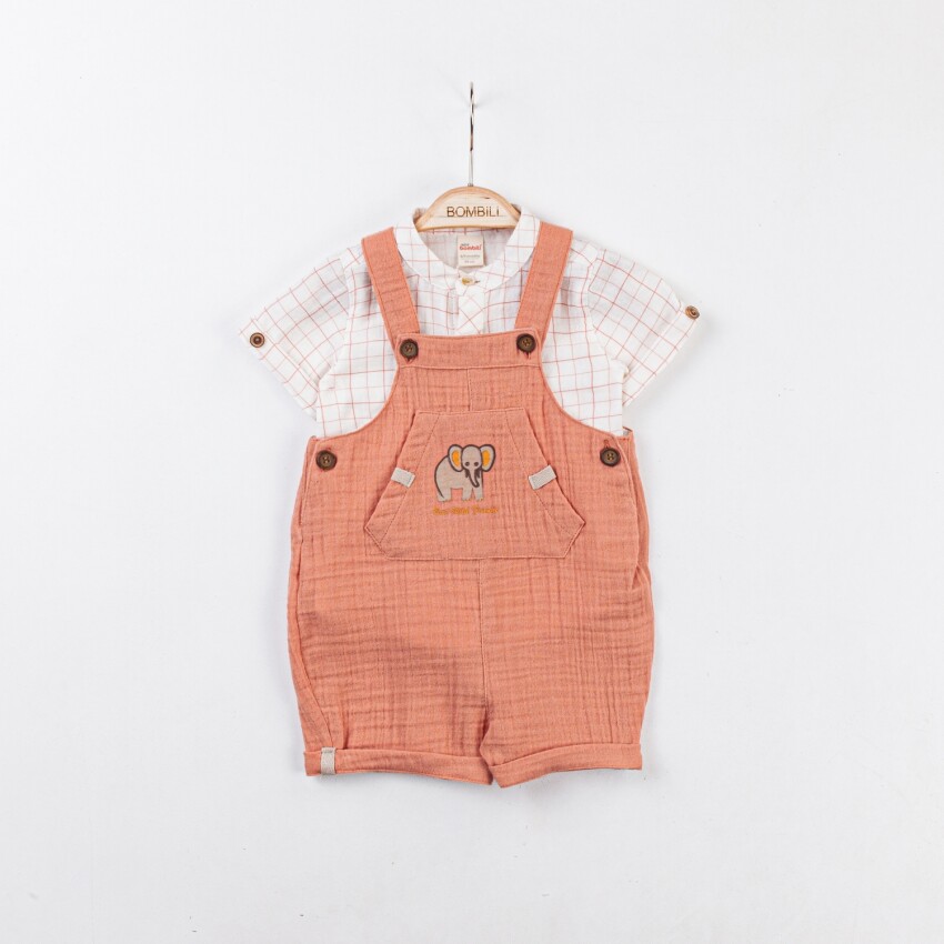 Wholesale Baby Boys 2-Piece Shirt and Underwear Set 3-12M Minibombili 1005-6737 - 2