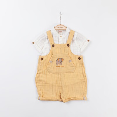 Wholesale Baby Boys 2-Piece Shirt and Underwear Set 3-12M Minibombili 1005-6737 Sarı