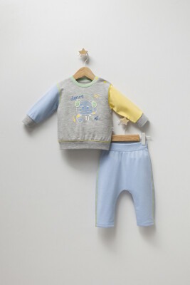 Wholesale Baby Boys 2-Piece Sweatshirt and Pants Set 6-24M Tongs 1028-4854 - 1