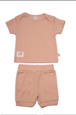 Wholesale Baby Boys 2-Piece T-shirt and Shorts set 6-18M BabyZ 1097-4721 - 1