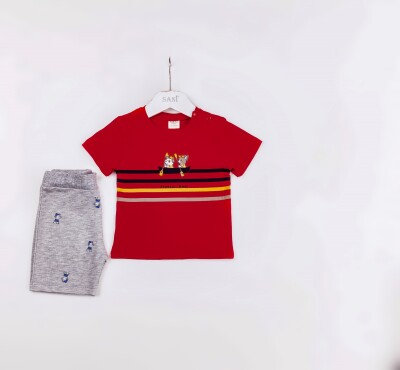 Wholesale Baby Boys 2-Pieces T-shirt and Short Set 9-24M Sani 1068-9942 Red