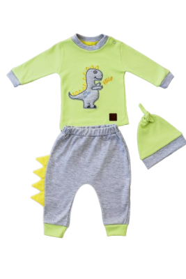 Wholesale Baby Boys 3-Piece Sweatshirt Pants and Hat Set 3-12M Tomuycuk 1074-75559 Green