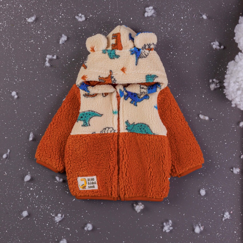 Wholesale Baby Boys Cardigan With Hoodie 6-24M BabyZ 1097-4758 - 2