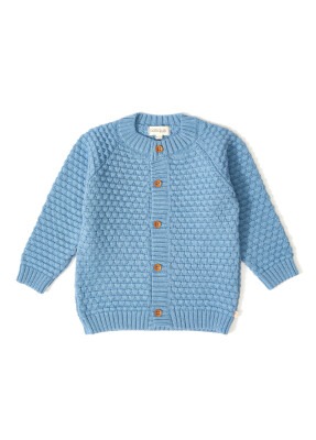 Wholesale Baby Boys Knitwear Cardigan 12-36M Uludağ Triko 1061-121069 Индиговый 