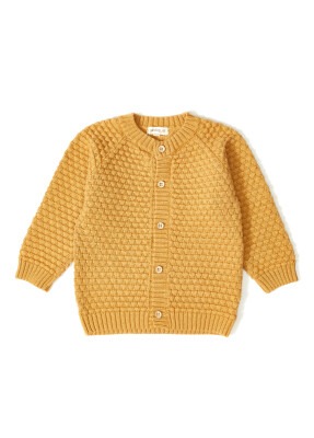 Wholesale Baby Boys Knitwear Cardigan 3-12M Uludağ Triko 1061-21069 Горчичный