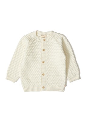 Wholesale Baby Boys Knitwear Cardigan 3-12M Uludağ Triko 1061-21069 Ecru