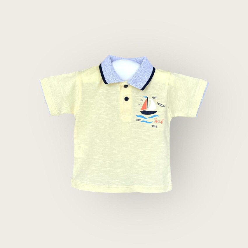 Wholesale Baby Boys T-shirt 6-18M Algiy Mini 2047-3551 - 4