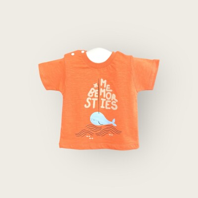 Wholesale Baby Boys T-shirt 6-18M Algiy Mini 2047-3552 Оранжевый 