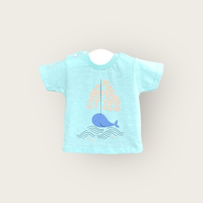 Wholesale Baby Boys T-shirt 6-18M Algiy Mini 2047-3552 - 5