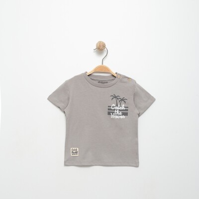 Wholesale Baby Boys T-shirt 6-24M Divonette 1023-6503-1 Gray