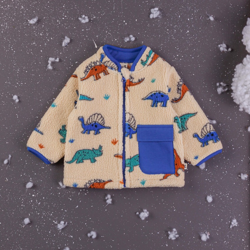 Wholesale Baby Boys Welsoft Cardigan 6-24M BabyZ 1097-4764 - 3