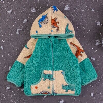 Wholesale Baby Boys Welsoft Cardigan With Hoodie 6-24M BabyZ 1097-4753 - 1
