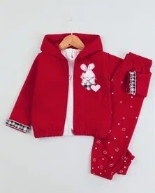 Wholesale Baby Girl 3-Piece Printed Cardigan Sweater and Sweatpants Set 9-24M BabyRose 1002-7783 Red