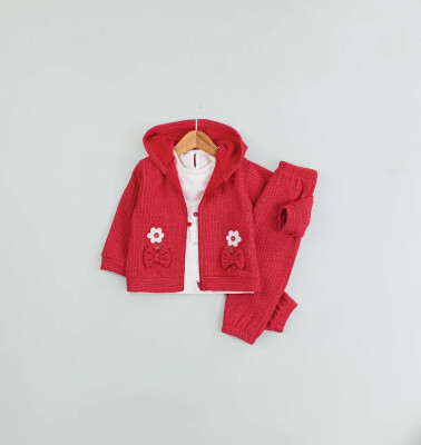 Wholesale Baby Girl 3pcs Cardigan long Sleeve Body and Pants Set 9-24M BabyRose 1002-7800 Red