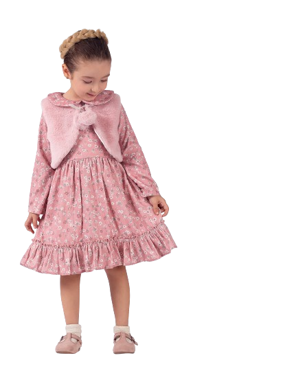 Wholesale Baby Girl Dress 2-5Y Cevval Minigirls 2024-2294 - 3