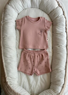 Wholesale Baby Girls 2-Piece 100% Cotton Shorts and T-shirt Set 3-18M Bubbles 2040-9000 Dusty Rose