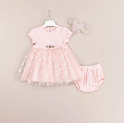 Wholesale Baby Girls 2-Piece Dress and Panties Set 3-12M BabyRose 1002-4482 Pink