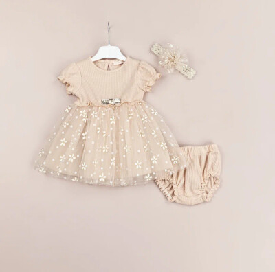 Wholesale Baby Girls 2-Piece Dress and Panties Set 3-12M BabyRose 1002-4482 - BabyRose (1)