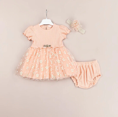 Wholesale Baby Girls 2-Piece Dress and Panties Set 3-12M BabyRose 1002-4482 Salmon Color 