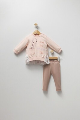 Wholesale Baby Girls 2-Piece Sweatshirt and Leggings Set 6-24M Tongs 1028-4393 - 2