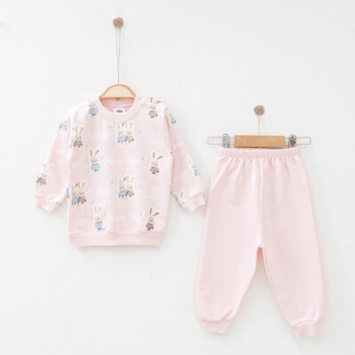 Wholesale Baby Girls 2-Pieces Sweatshirt and Pants Set 9-18M Hoppidik 2017-2308 Розовый 