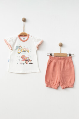 Wholesale Baby Girls 2-Pieces T-shirt and Pants Set 6-12M Hoppidik 2017-2291 - Hoppidik