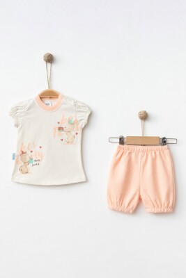 Wholesale Baby Girls 2-Pieces T-shirt and Short Set 3-9M Hoppidik 2017-2356 - Hoppidik