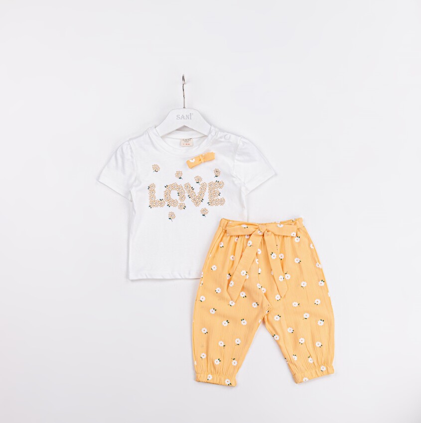 Wholesale Baby Girls 2-Pieces T-shirt and Short Set 9-24M Sani 1068-9931 - 1