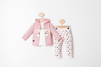 Wholesale Baby Girls 3-Piece Cardigan, Bodysuit and Pants Set 9-24M Sani 1068-10001 - Sani