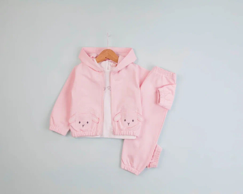 Wholesale Baby Girls 3-Piece Tracksuit Set 9-24M BabyRose 1002-7786 - 2