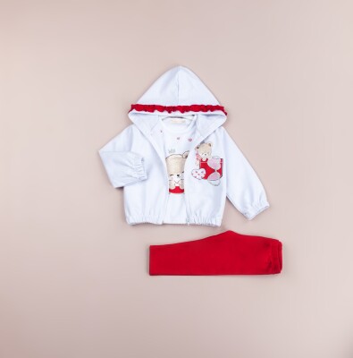 Wholesale Baby Girls 3-Pieces Jacket, T-shirt and Tight Set 6-18M BabyRose 1002-7765 - 2