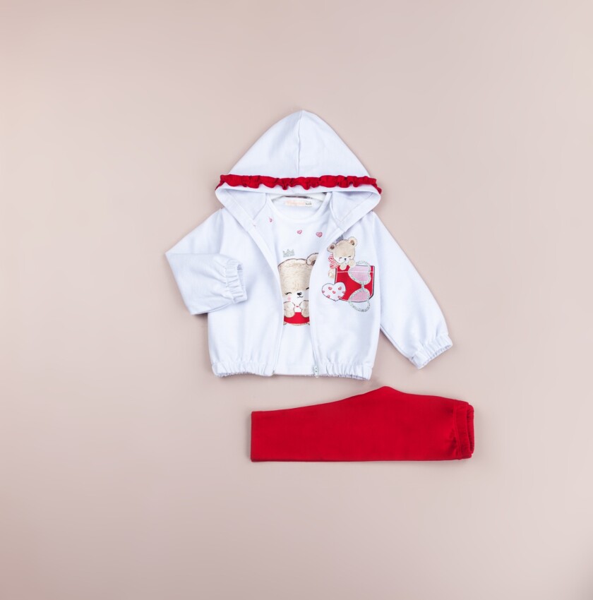 Wholesale Baby Girls 3-Pieces Jacket, T-shirt and Tight Set 6-18M BabyRose 1002-7765 - 2