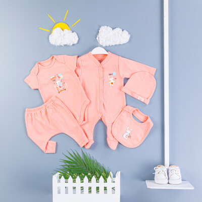 Wholesale Baby Girls 5-Piece Bodysuit Set 0-3M BabyZ 1097-5782 - 3