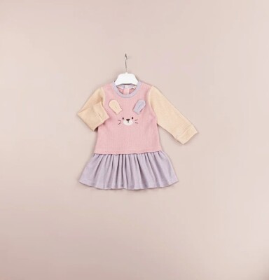 Wholesale Baby Girls Dress 6-18M BabyRose 1002-4513 - 2