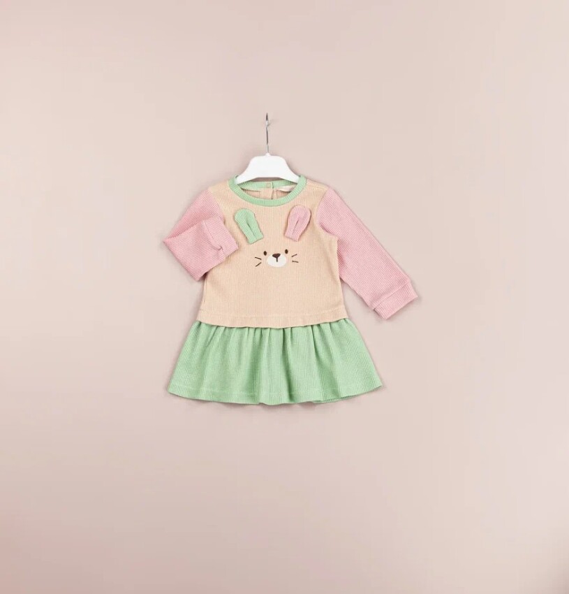 Wholesale Baby Girls Dress 6-18M BabyRose 1002-4513 - 3