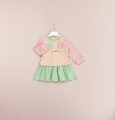 Wholesale Baby Girls Dress 6-18M BabyRose 1002-4513 - BabyRose