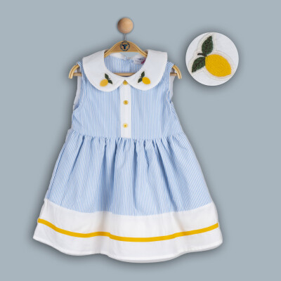 Wholesale Baby Girls Dress 6-24M Timo 1018-TK4DÜ042240541 Blue