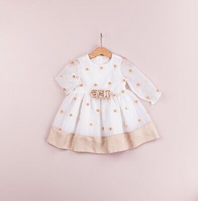 Wholesale Baby Girls Dress 9-24M BabyRose 1002-4240 - BabyRose (1)