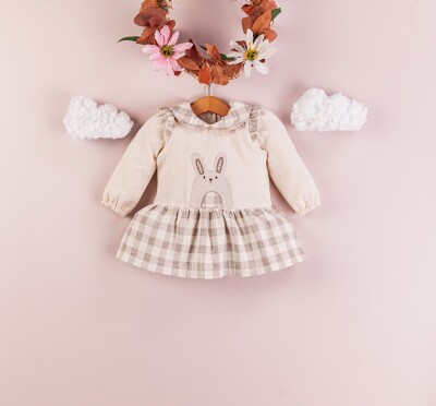 Wholesale Baby Girls Dress 9-24M BabyRose 1002-4366 - 1
