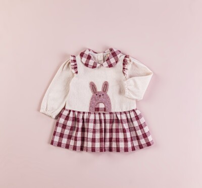 Wholesale Baby Girls Dress 9-24M BabyRose 1002-4366 - 2