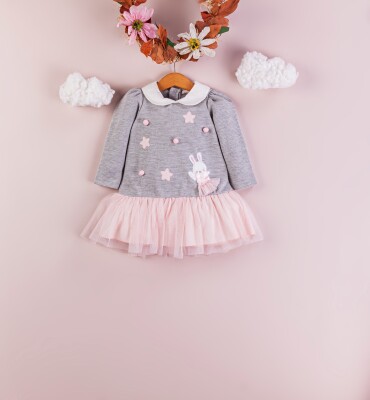 Wholesale Baby Girls Dress 9-24M BabyRose 1002-4387 - 1