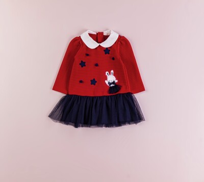 Wholesale Baby Girls Dress 9-24M BabyRose 1002-4387 - 2